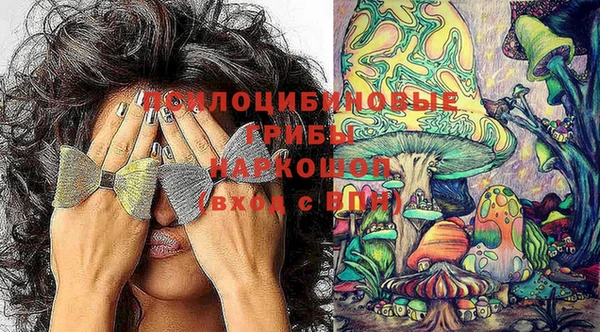 МДПВ Абинск