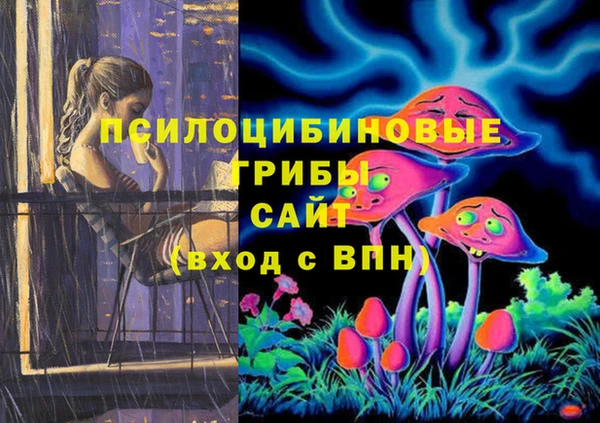 МДПВ Абинск